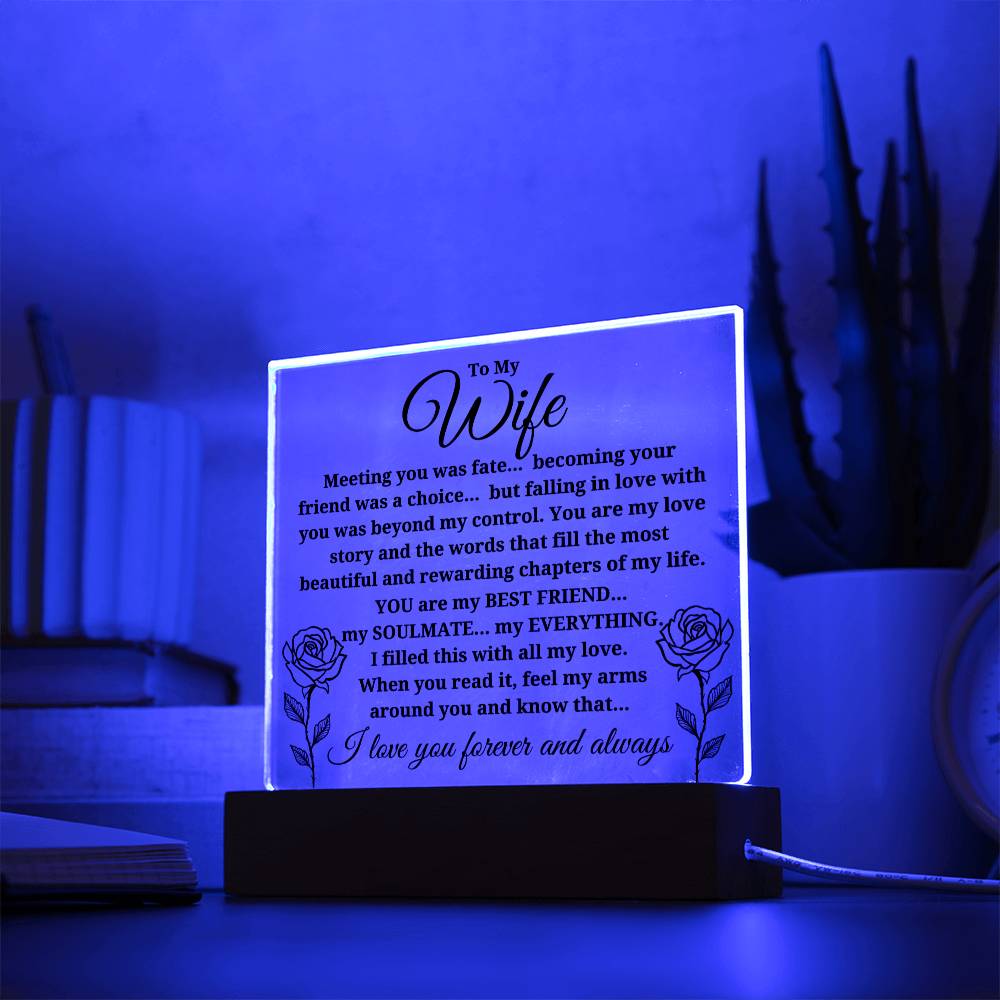 To My Wife "Meeting you was..." Acrylic Plaque With Lighted Base