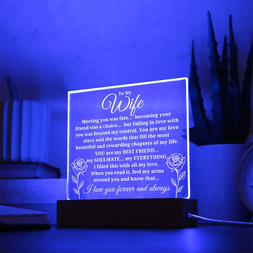 To My Wife "Meeting you was..." Acrylic Plaque With Lighted Base
