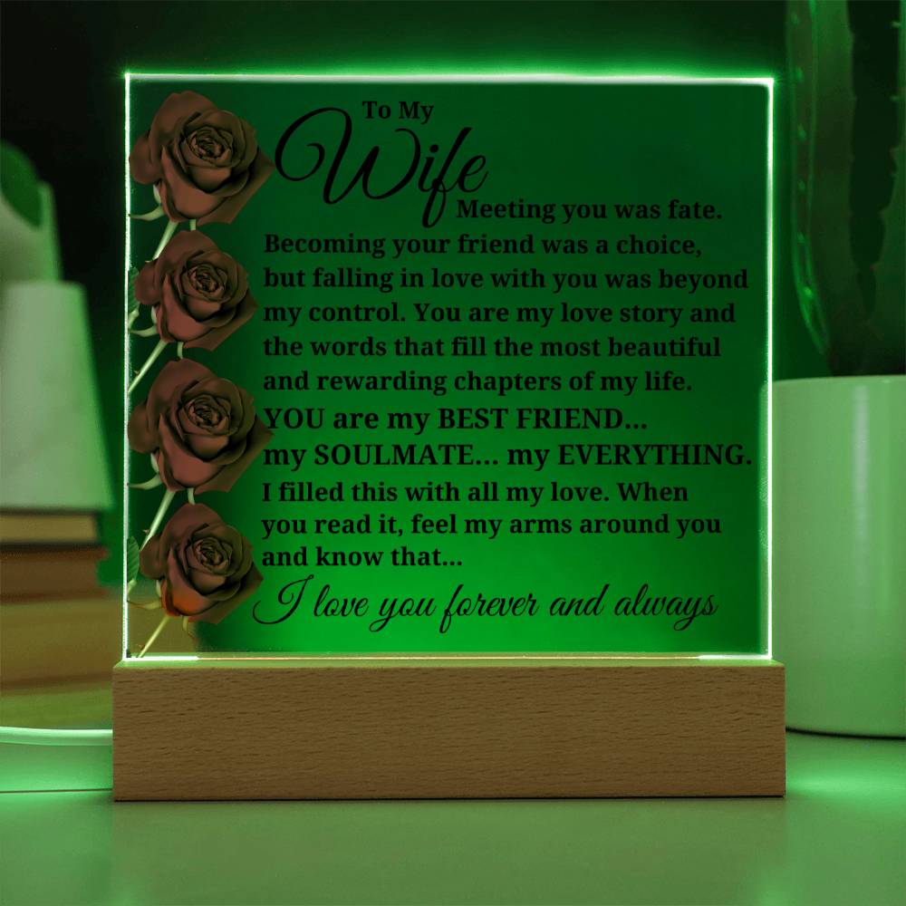 To My Wife "Meeting you was fate..." Acrylic Plaque With Lighted Base