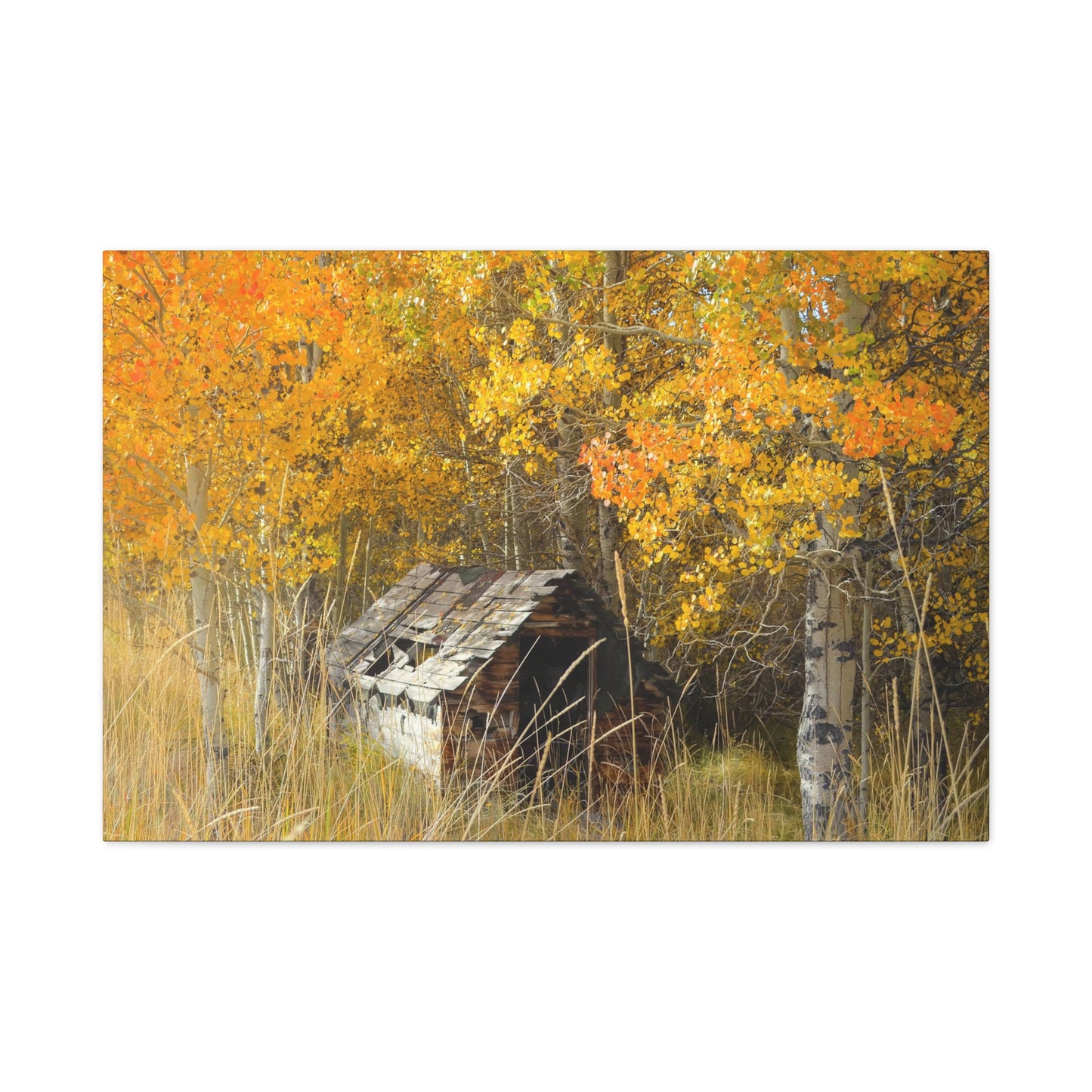 "Seasons Gone By" Exclusive Photography by Ric Johnson | Gallery Canvas Fine Art