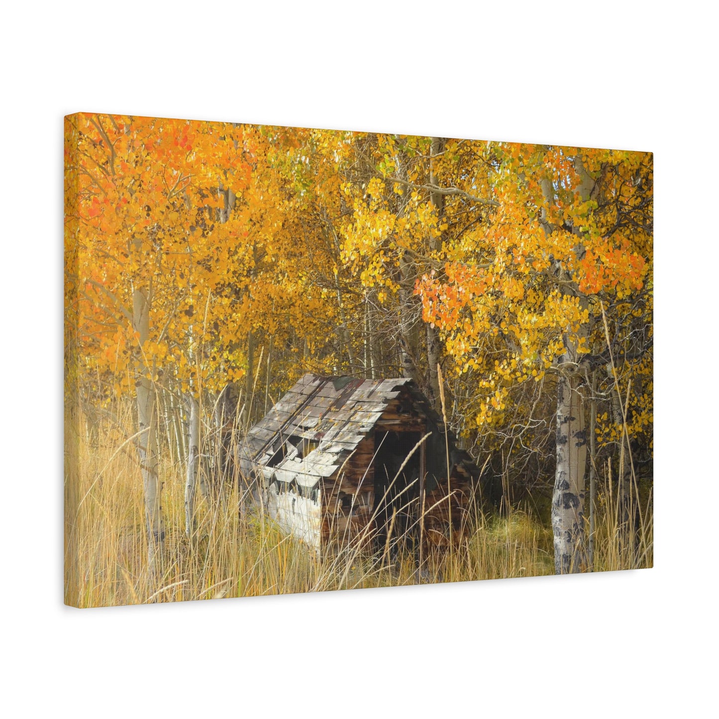 "Seasons Gone By" Exclusive Photography by Ric Johnson | Gallery Canvas Fine Art