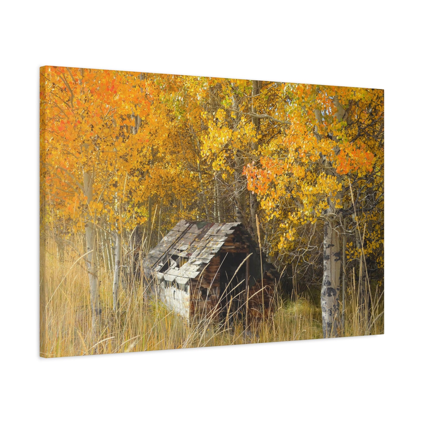"Seasons Gone By" Exclusive Photography by Ric Johnson | Gallery Canvas Fine Art