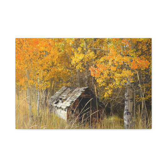"Seasons Gone By" Exclusive Photography by Ric Johnson | Gallery Canvas Fine Art