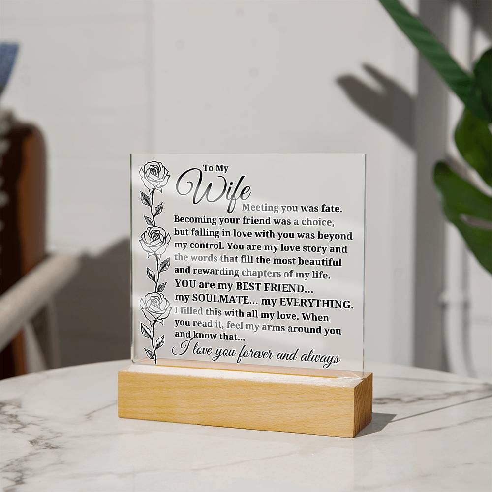 To My Wife "Meeting you was..." Acrylic Plaque With Lighted Base