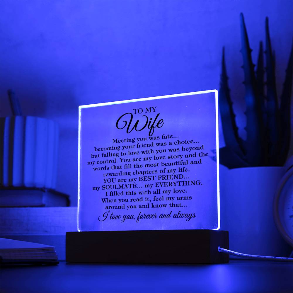 To My Wife "Meeting you was fate..." Acrylic Plaque With Lighted Base