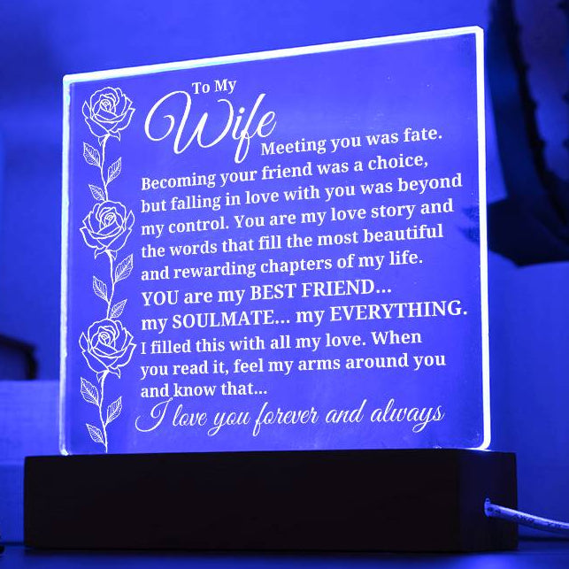 To My Wife "Meeting you was fate..." Acrylic Plaque With Lighted Base [BEST SELLER]