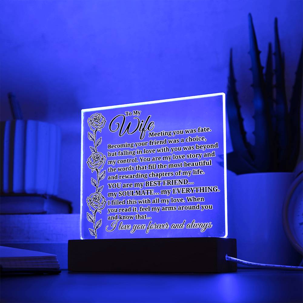 To My Wife "Meeting you was..." Acrylic Plaque With Lighted Base