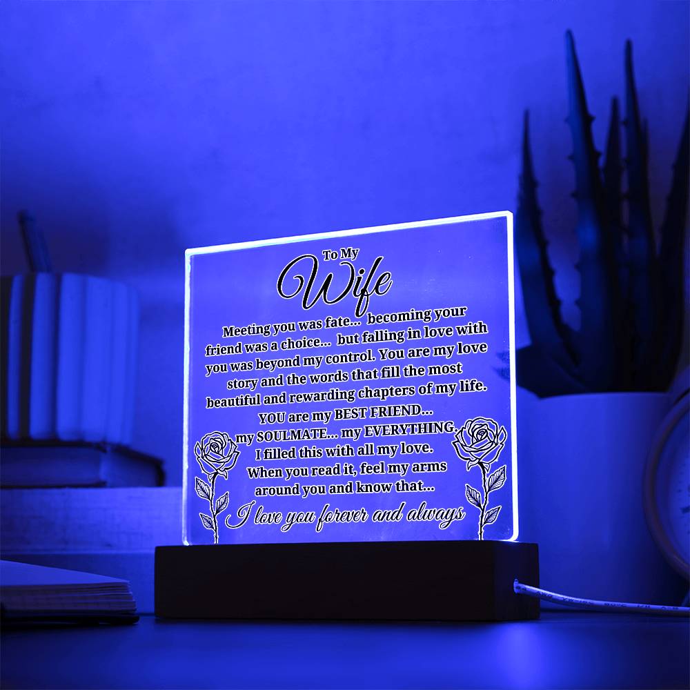 To My Wife "Meeting you was..." Acrylic Plaque With Lighted Base