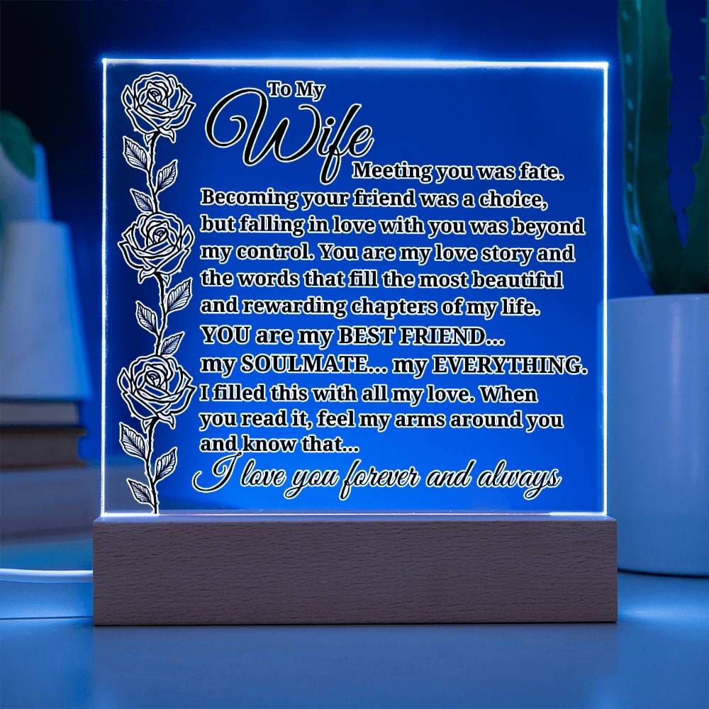 To My Wife "Meeting you was..." Acrylic Plaque With Lighted Base