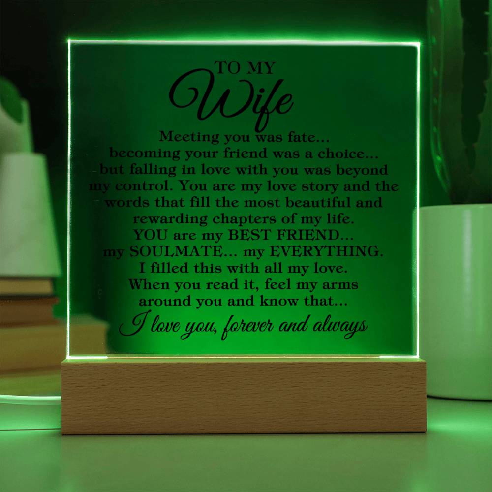 To My Wife "Meeting you was fate..." Acrylic Plaque With Lighted Base
