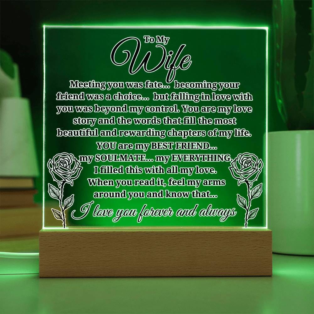 To My Wife "Meeting you was..." Acrylic Plaque With Lighted Base