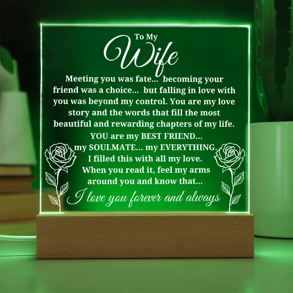 To My Wife "Meeting you was..." Acrylic Plaque With Lighted Base