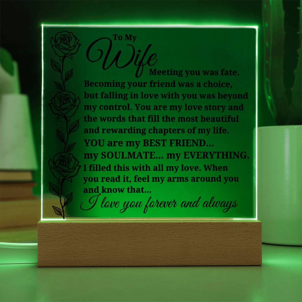 To My Wife "Meeting you was..." Acrylic Plaque With Lighted Base