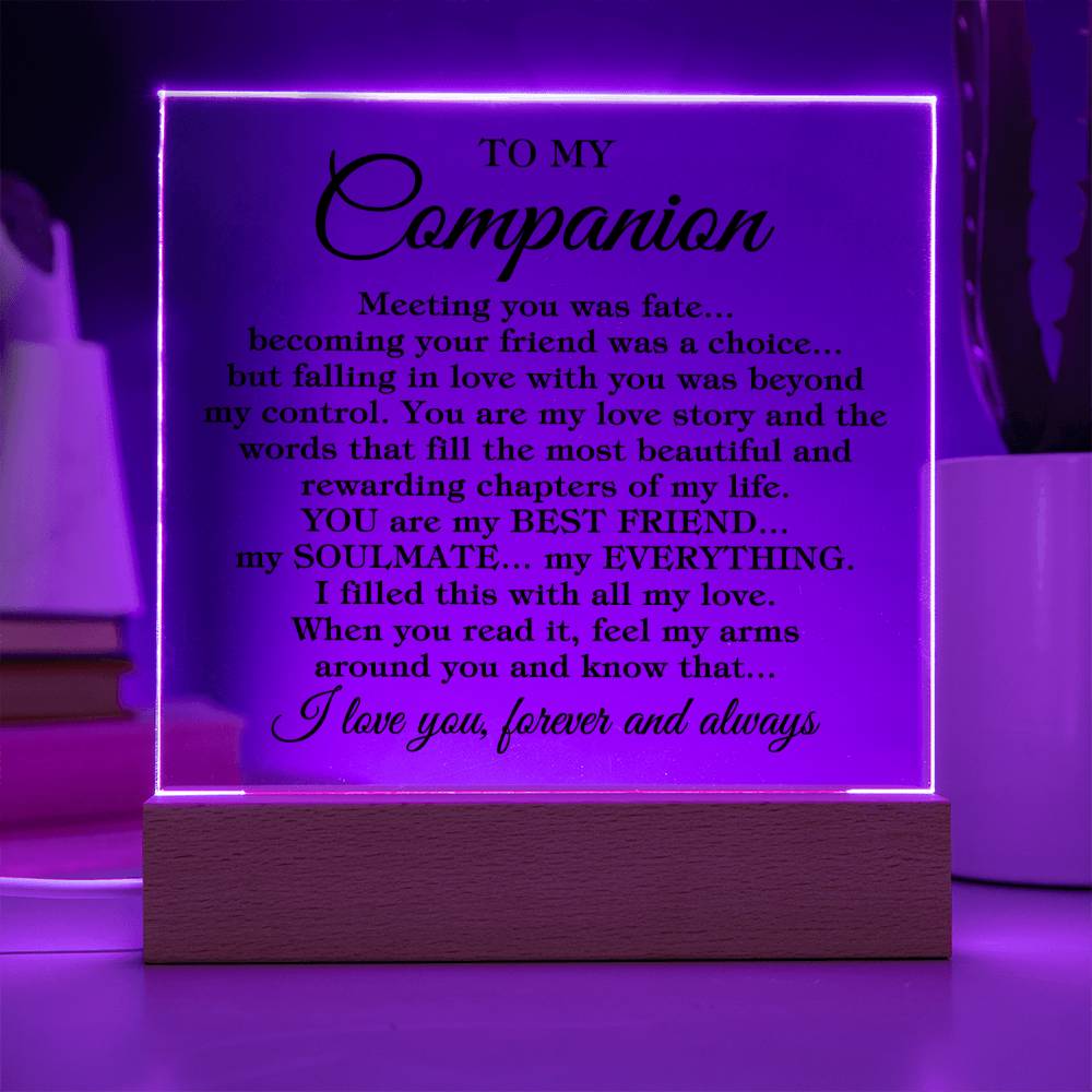 To My Companion "Meeting you was..." Acrylic Plaque With Lighted Base