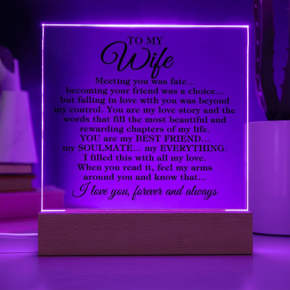 To My Wife "Meeting you was fate..." Acrylic Plaque With Lighted Base