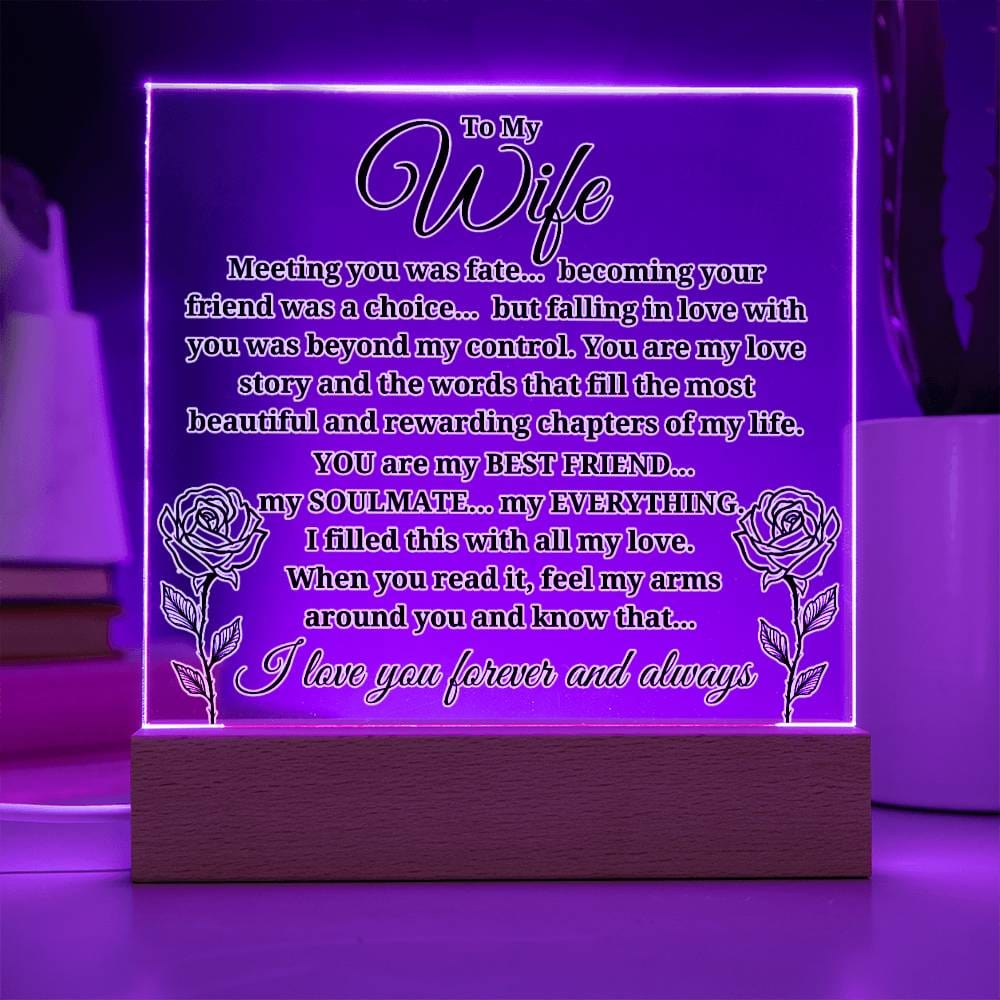 To My Wife "Meeting you was..." Acrylic Plaque With Lighted Base