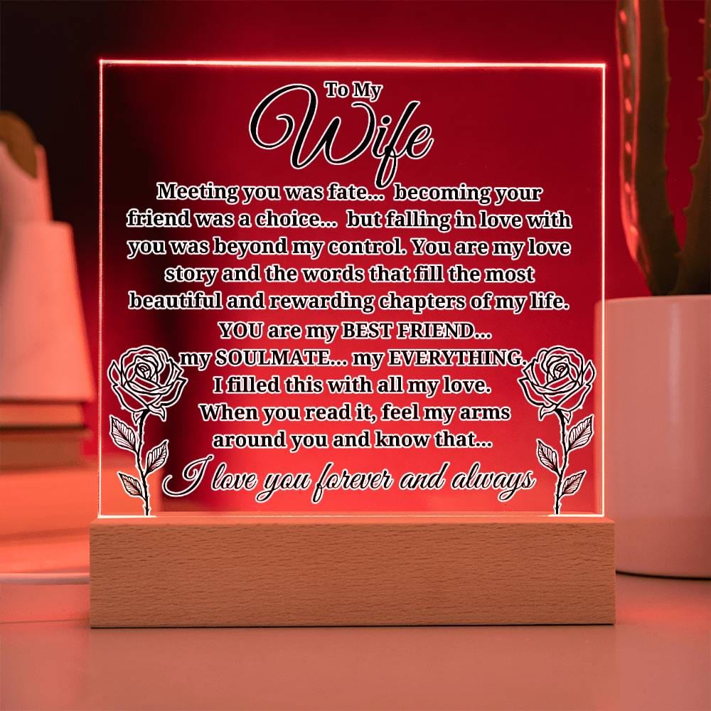 To My Wife "Meeting you was..." Acrylic Plaque With Lighted Base