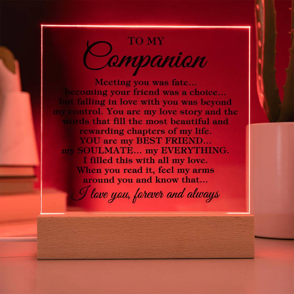 To My Companion "Meeting you was..." Acrylic Plaque With Lighted Base