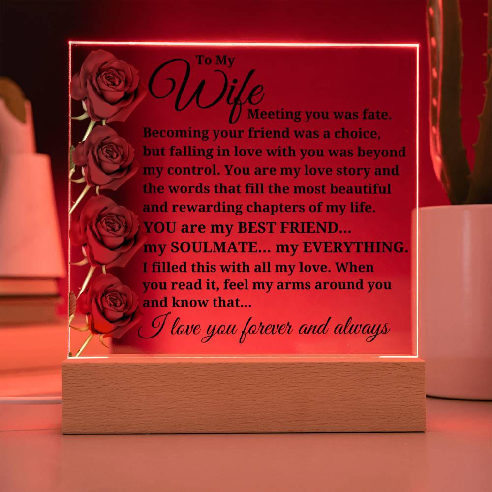 To My Wife "Meeting you was fate..." Acrylic Plaque With Lighted Base