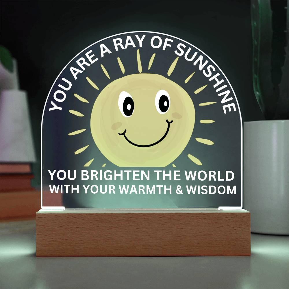 Sponsor-A-Smile Give a Smile and Donate a Smile, Acrylic Plaque with Lighted Base