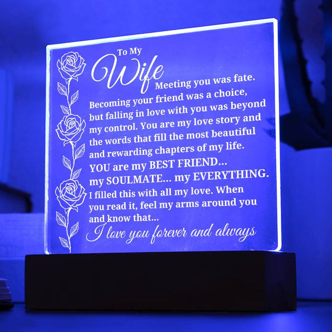 To My Wife "Meeting you was fate..." Acrylic Plaque With Lighted Base [BEST SELLER]